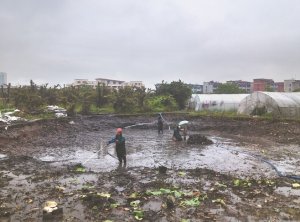 潞城河道鱼塘清淤
